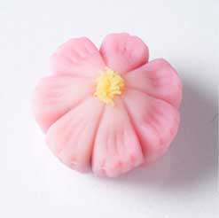 秋・秋桜