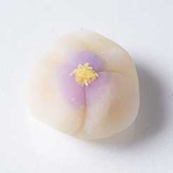 春・すみれ草