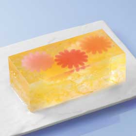 鞠花の園-